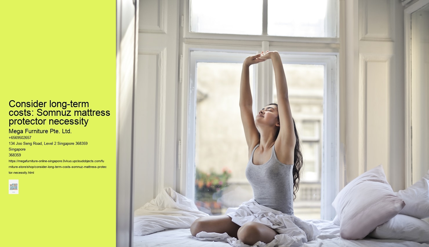 Consider long-term costs: Somnuz mattress protector necessity