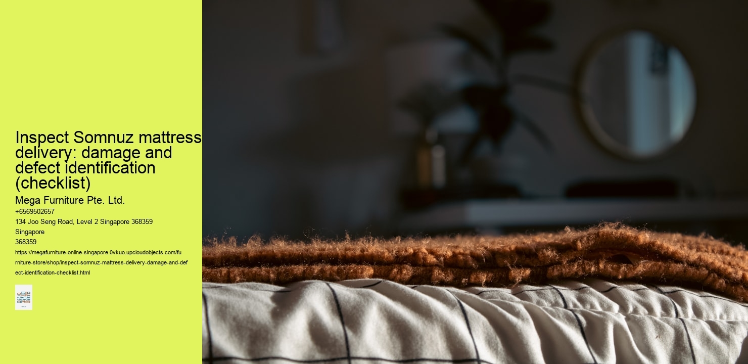 Inspect Somnuz mattress delivery: damage and defect identification (checklist)
