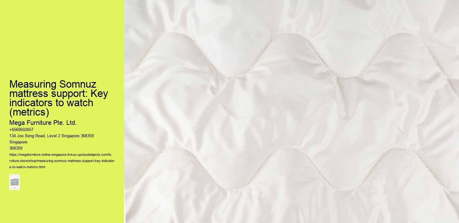Measuring Somnuz mattress support: Key indicators to watch (metrics)