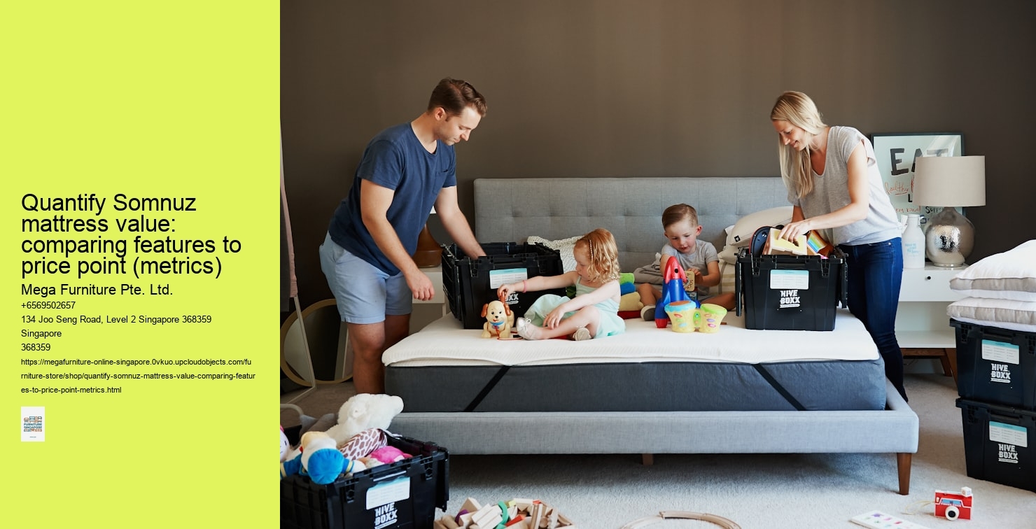 Quantify Somnuz mattress value: comparing features to price point (metrics)