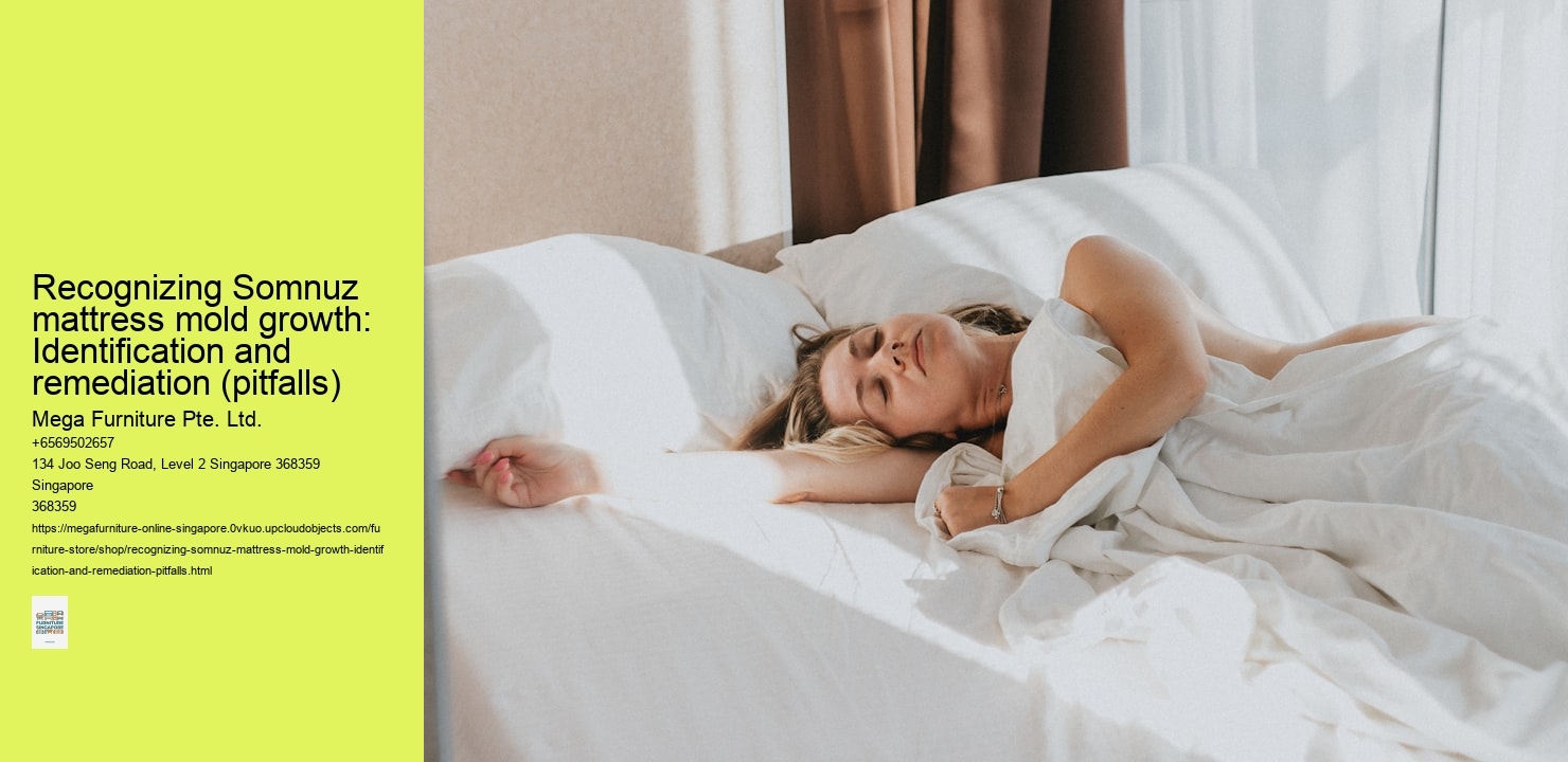 Recognizing Somnuz mattress mold growth: Identification and remediation (pitfalls)