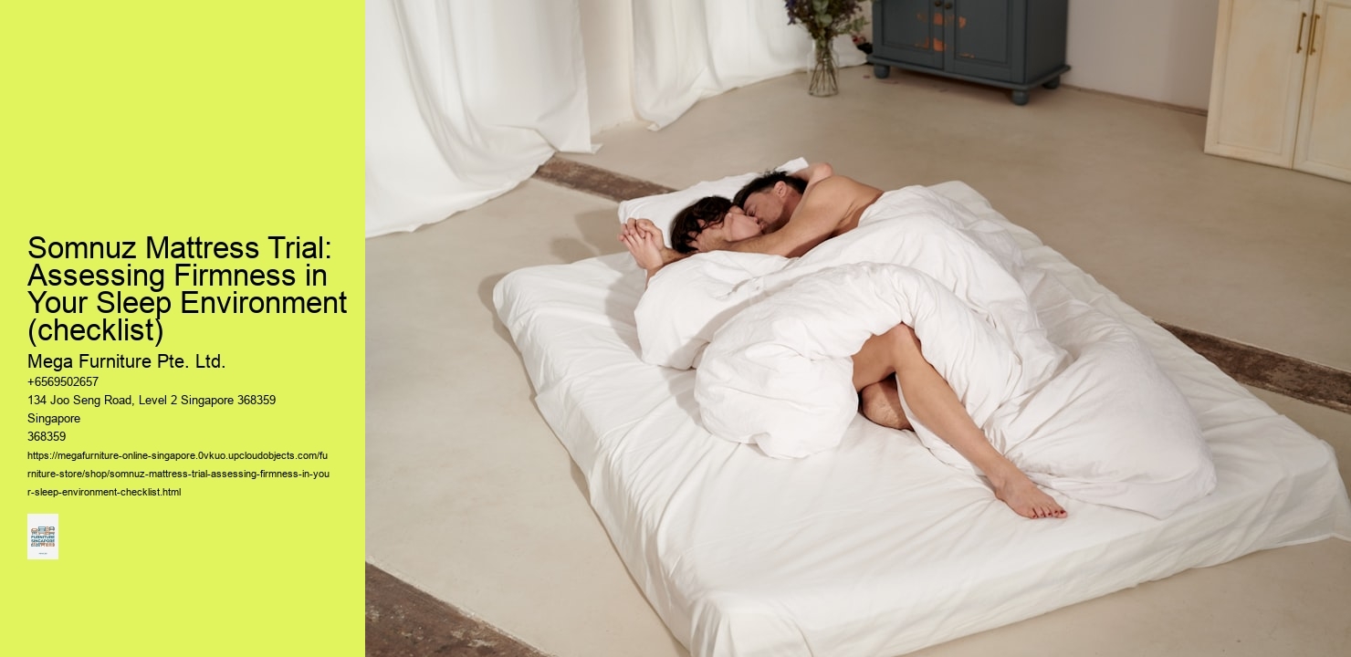 Somnuz Mattress Trial: Assessing Firmness in Your Sleep Environment (checklist)